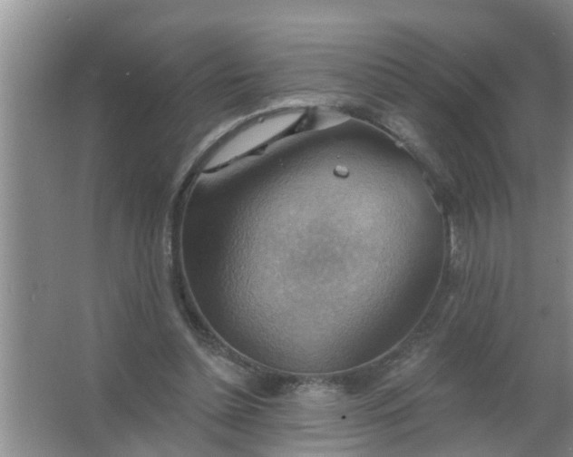 X0000063530348200602032142