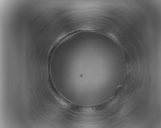 X0000063530349200602032142