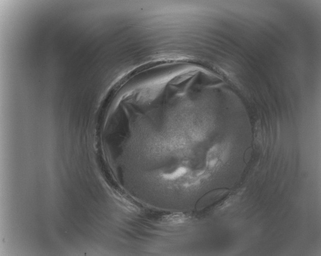 X0000063530351200602032142