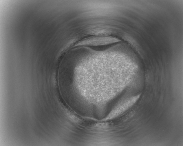 X0000063530353200602032142