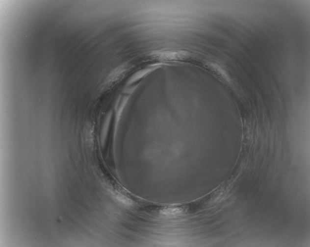 X0000063530357200602032142