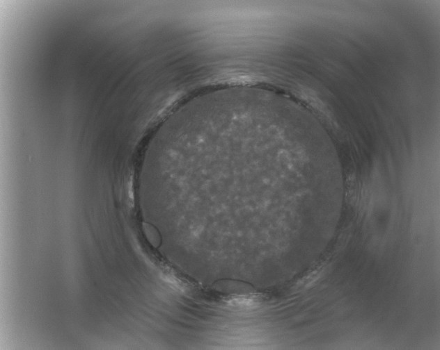 X0000063530358200602032142