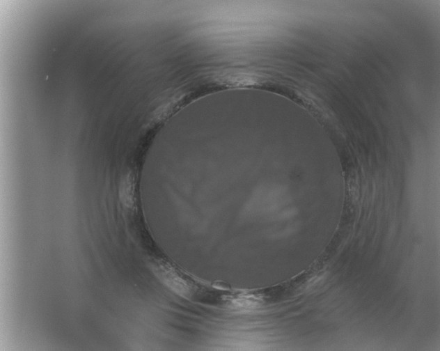 X0000063530359200602032142