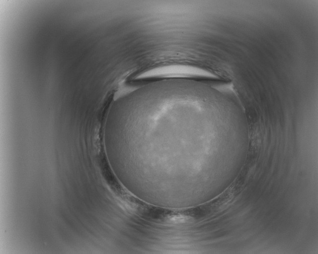 X0000063530360200602032142