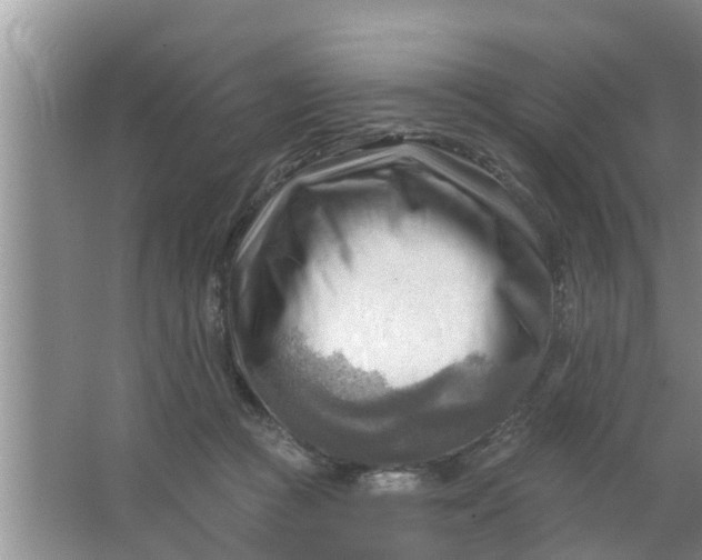 X0000063530361200602032142