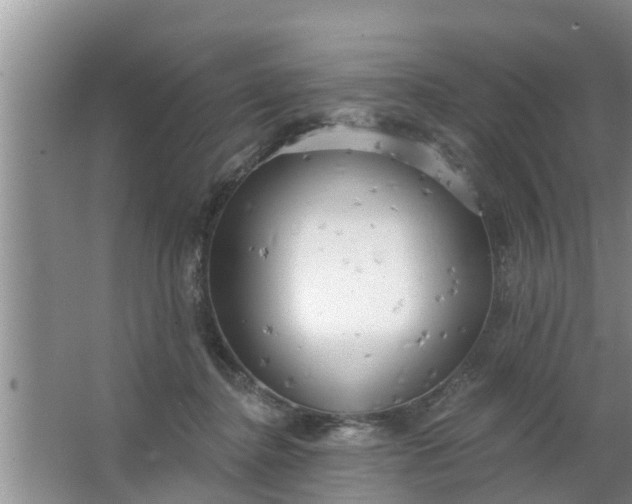 X0000063530364200602032142