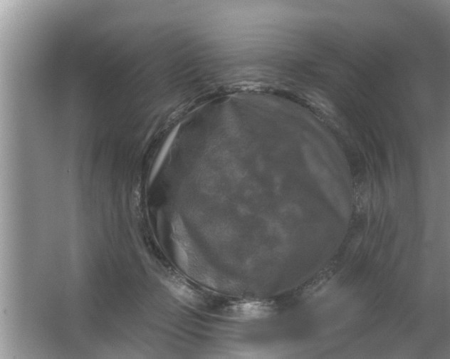 X0000063530365200602032142