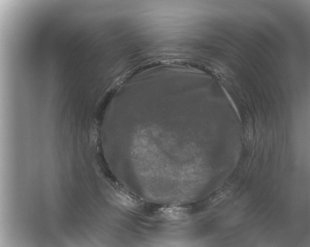 X0000063530367200602032142