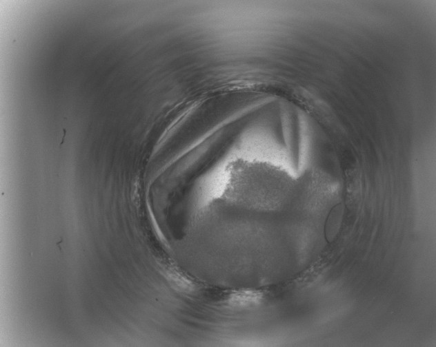 X0000063530369200602032142