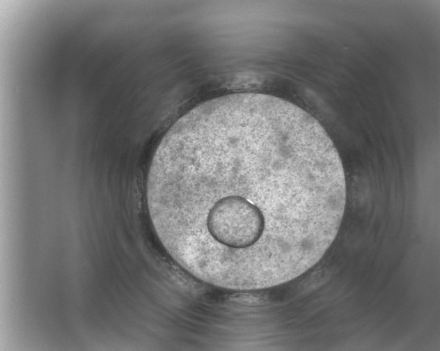 X0000063530370200602032142