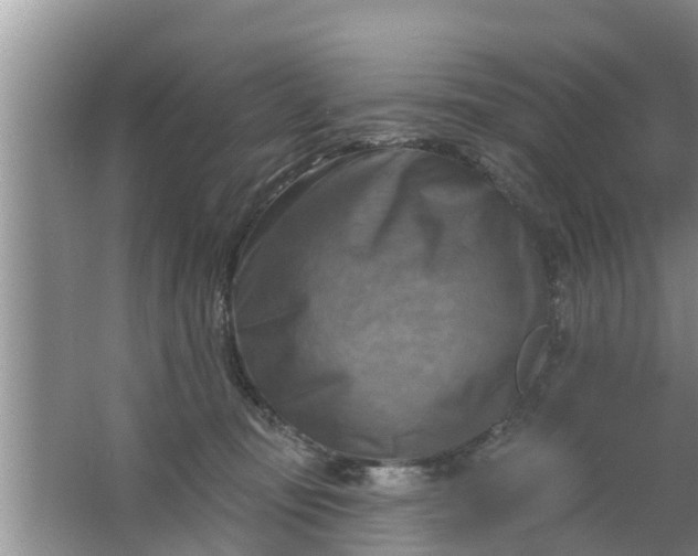 X0000063530371200602032142