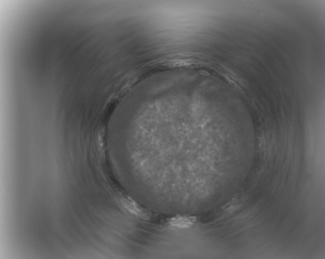 X0000063530373200602032142