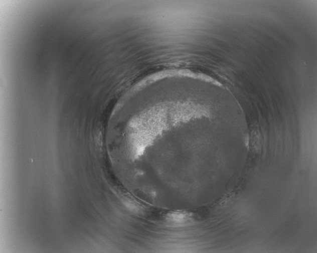 X0000063530375200602032142