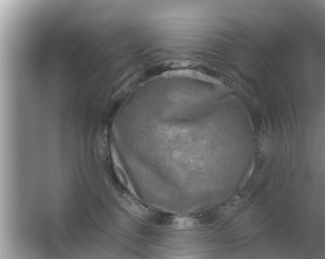 X0000063530376200602032142