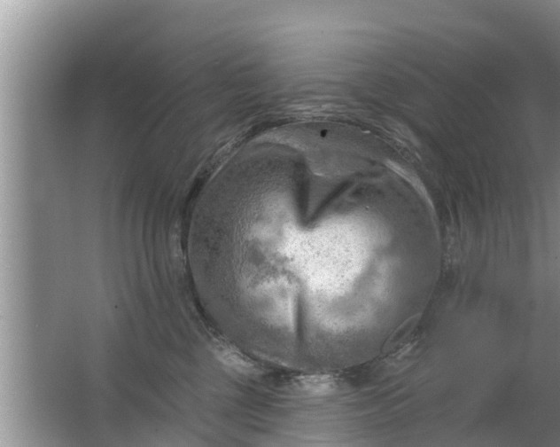 X0000063530377200602032142