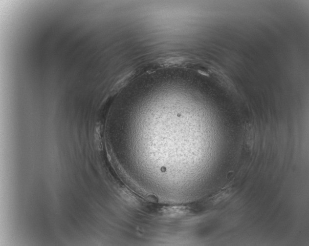 X0000063530378200602032142