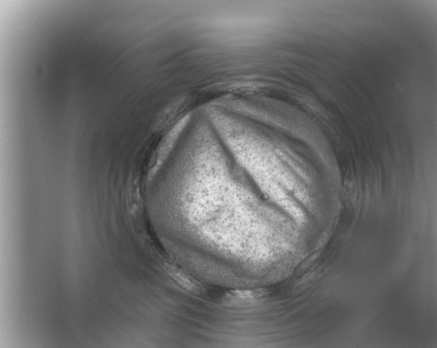 X0000063530381200602032142