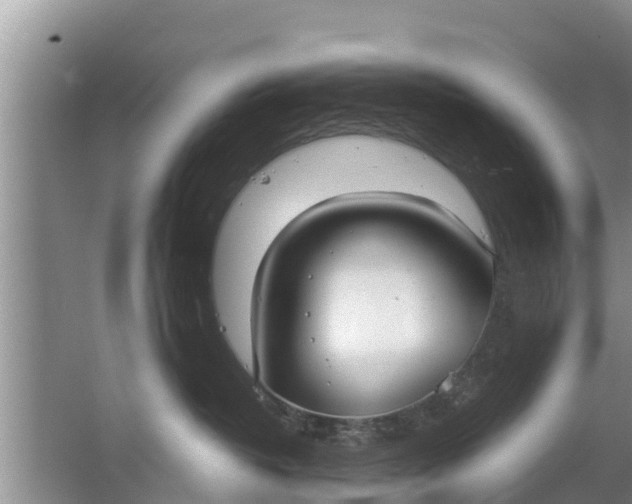 X0000063530382200602032142