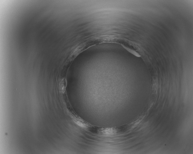 X0000063530383200602032142