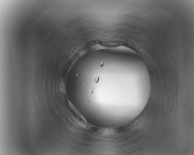 X0000063530384200602032142