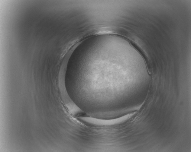 X0000063530385200602032142