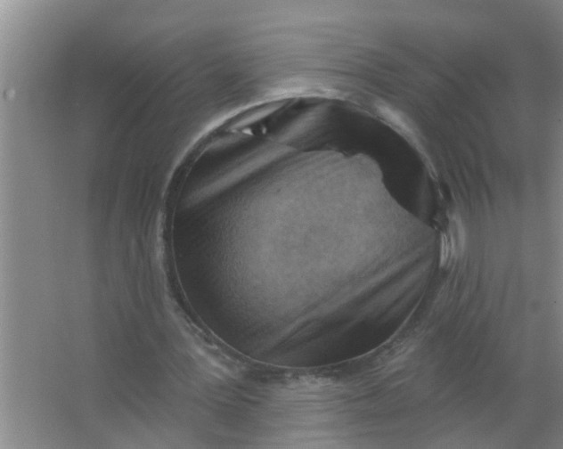 X0000063530387200602032142