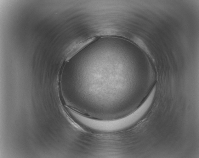 X0000063530389200602032141