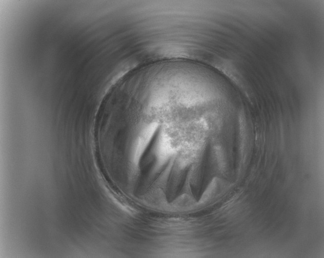 X0000063530390200602032141