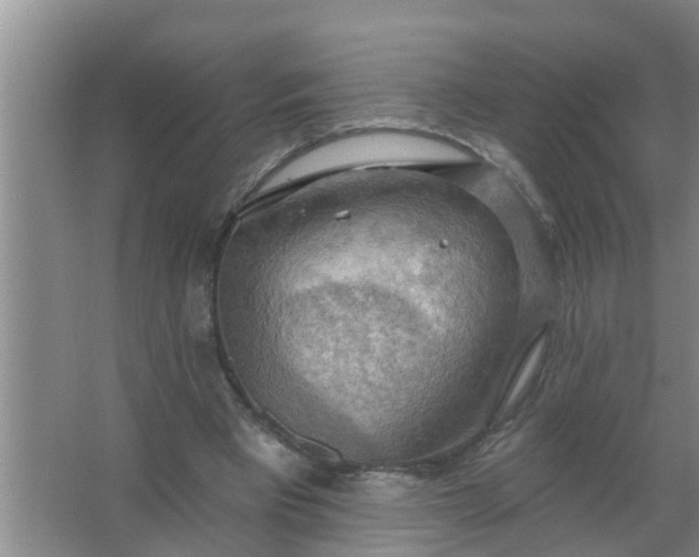 X0000063530393200602032141