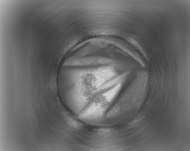 X0000063530394200602032141