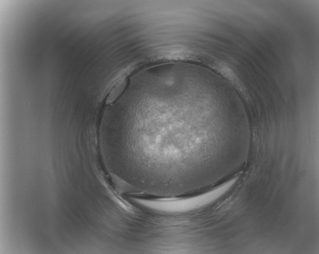 X0000063530397200602032141