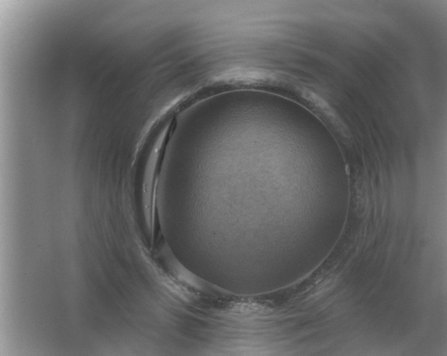 X0000063530399200602032141