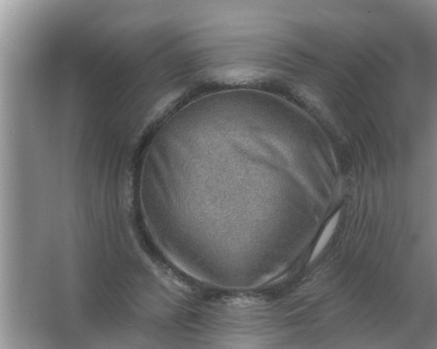 X0000063530400200602032141