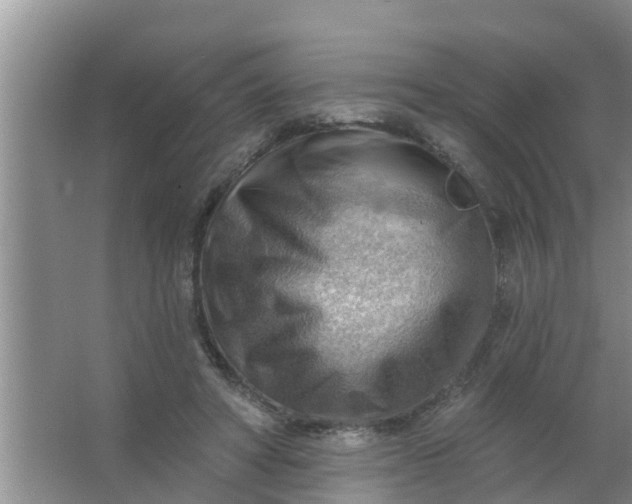 X0000063530402200602032141