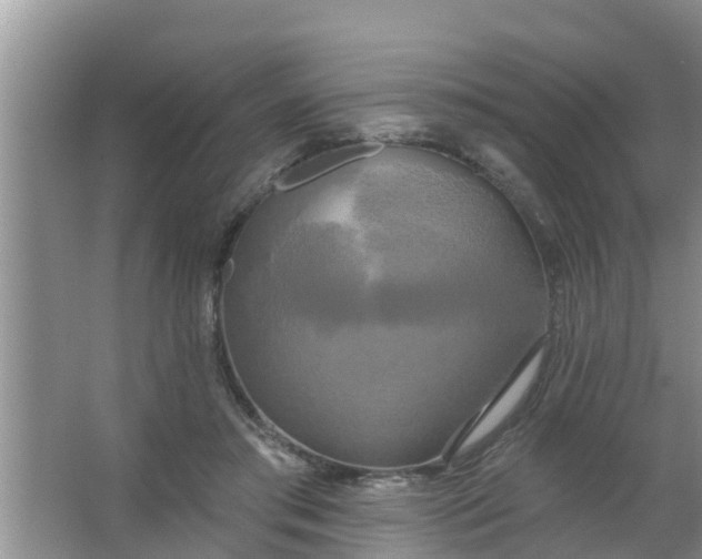 X0000063530405200602032141