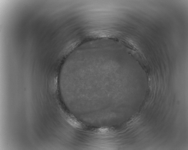 X0000063530406200602032141