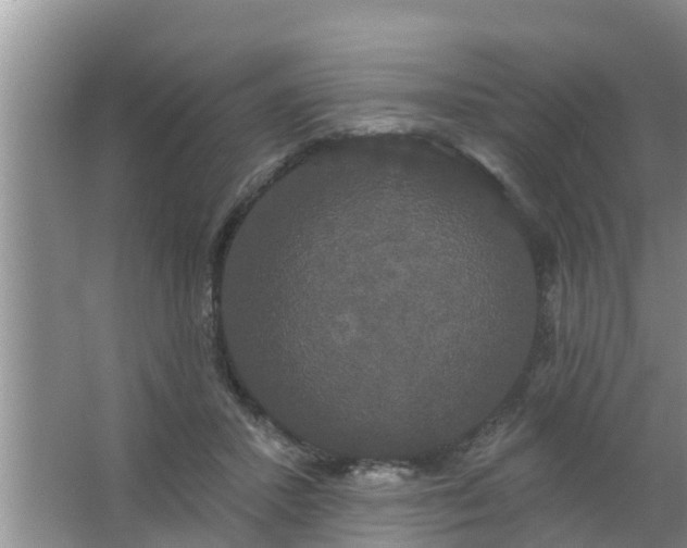 X0000063530407200602032141