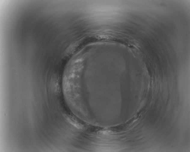 X0000063530408200602032141