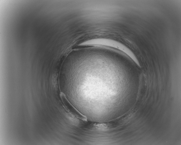 X0000063530409200602032141