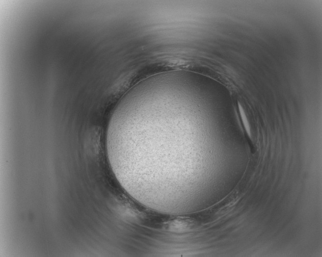 X0000063530412200602032141