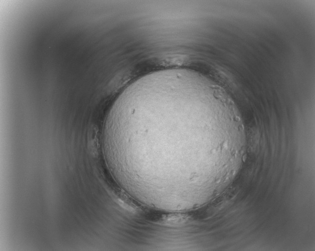 X0000063530414200602032141