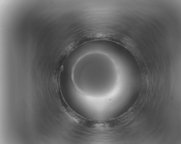 X0000063530415200602032141