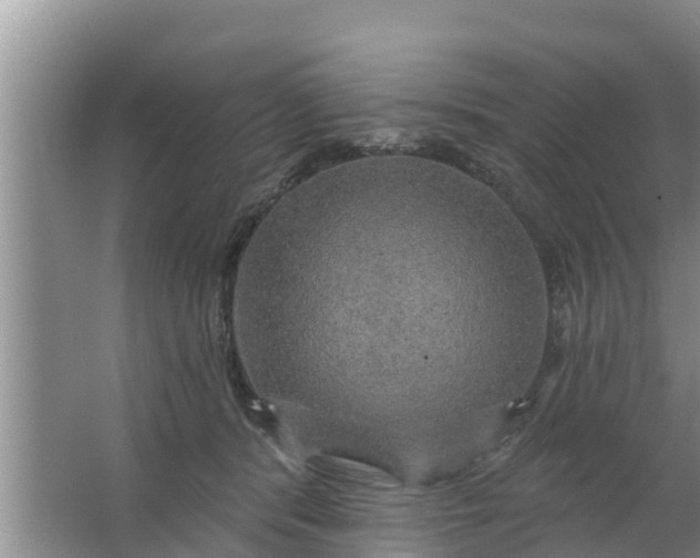 X0000063530416200602032141