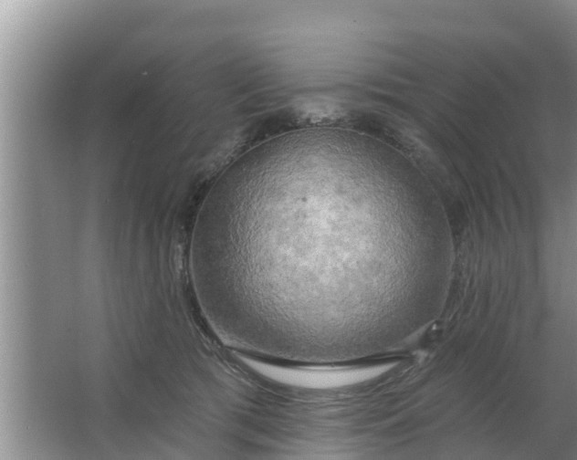 X0000063530417200602032141