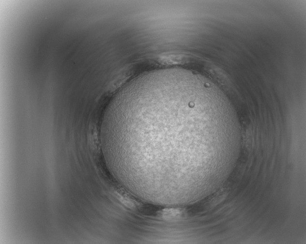 X0000063530418200602032141