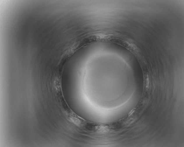 X0000063530419200602032141