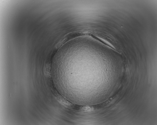 X0000063530421200602032141