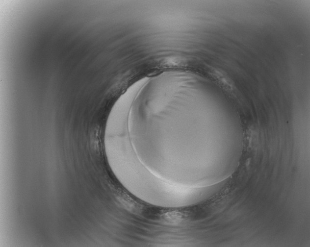 X0000063530423200602032141