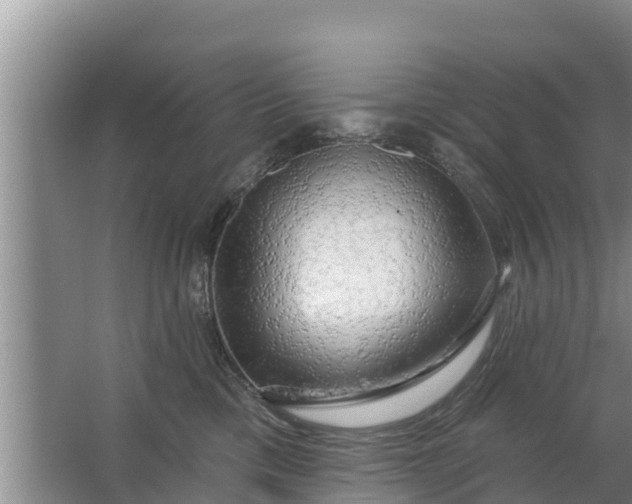 X0000063530425200602032141