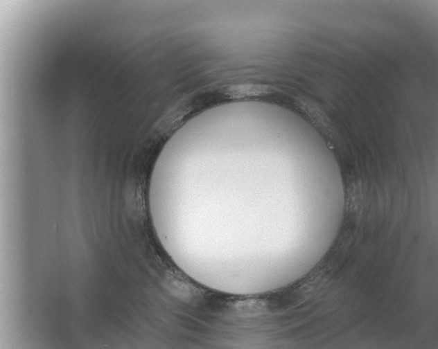 X0000063530426200602032141